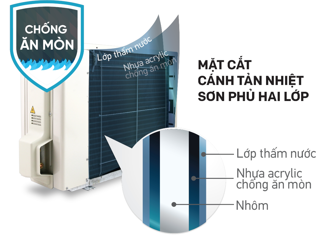 do ben cao chong an mon png